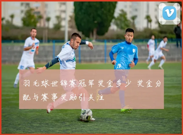 羽毛球世锦赛冠军奖金多少 奖金分配与赛事奖励引关注